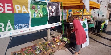 IMAGEN ILUSTRATIVA: Jornadas de Eco Canje en Tres Arroyos