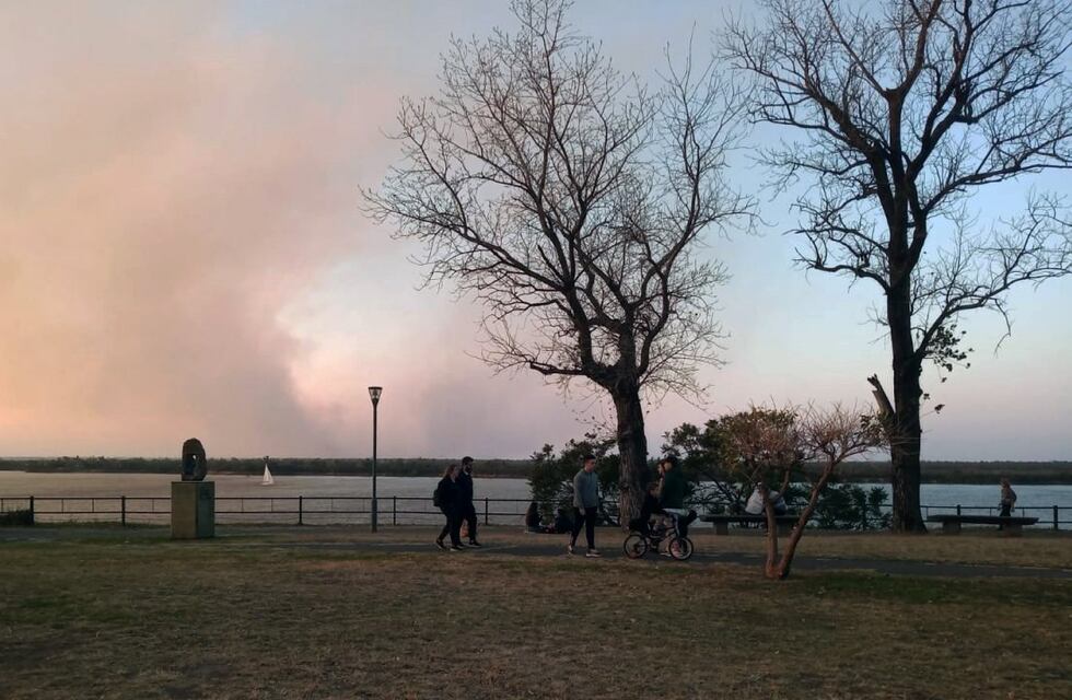Se multiplican los incendios en las islas y Santa Fe va a la Justicia