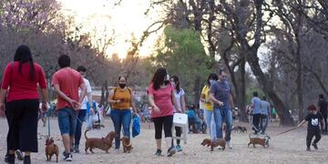 Promoviendo la tenencia responsable de mascotas en San Salvador de Jujuy, se realiza un encuentro de perros "salchciha" en el parque San Martín.