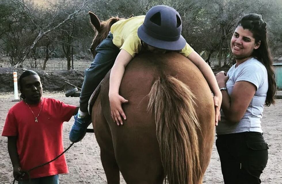 Recuperaron los cuatro caballos que le habían robado a una fundación de Villa Allende