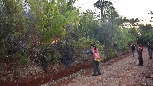 Nuevos focos de incendio en San Pedro.