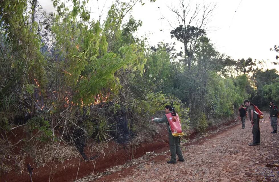 Nuevos focos de incendio en San Pedro