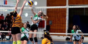 La capital de Tierra del Fuego será sede del Vóley entre el 31 de octubre y el 4 de noviembre.