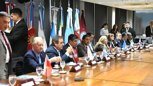 Los vicegobernadores del NOA y el NEA encabezaron la sesión plenaria del Parlamento del Norte Grande, en Tucumán.