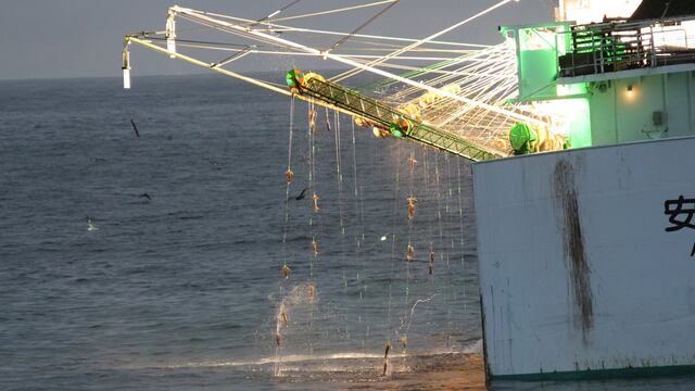 Malvinas ofrece extender permisos de pesca a 25 años