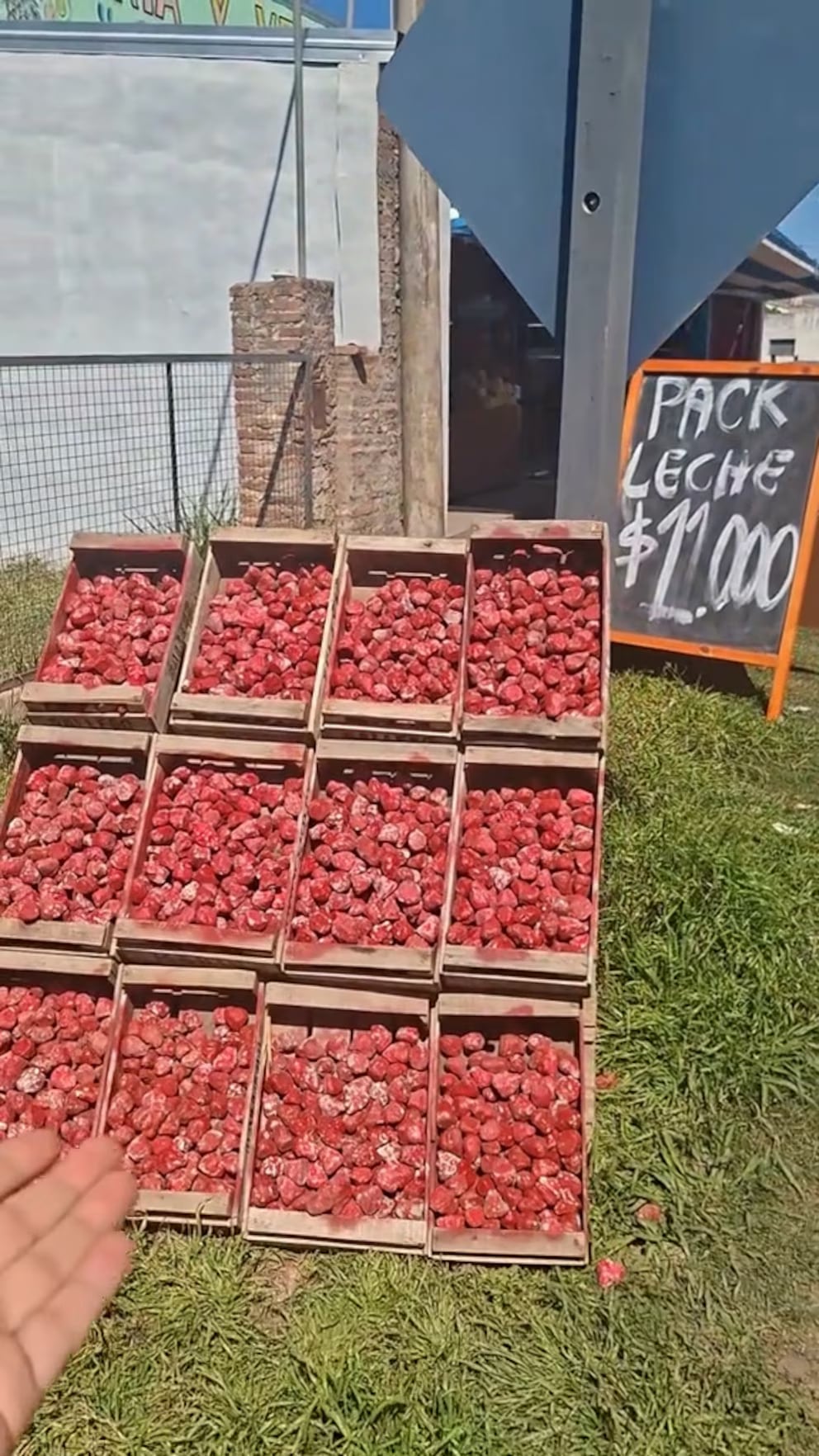 Pintaron piedras y las vendían como frutillas