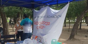 Colecta solidaria de leche y alimentos no perecederos.