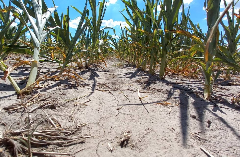 Sequía: ya están disponibles líneas de financiamiento provincial