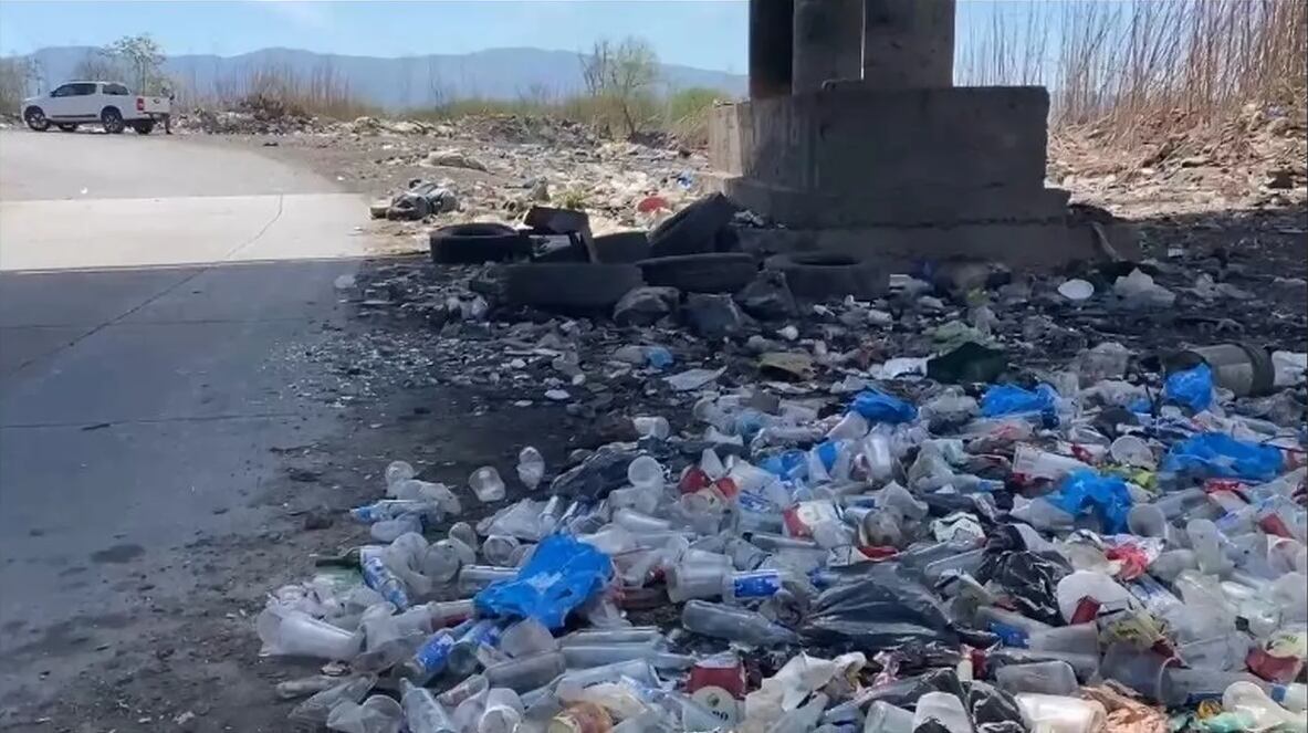 Estado previo a la limpieza debajo del puente Los Alisos. Grandes cantidades de botellas y vasos de plástico conducen a sospechar el origen de parte de los desechos que sistemáticamente son volcados en el lugar.