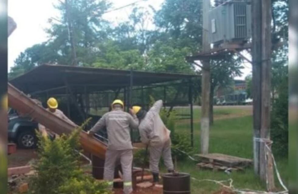 Colonia Wanda: realizan recambio de postes de madera por hormigón