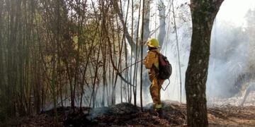 Incendio en la Casa Museo Horacio Quiroga.