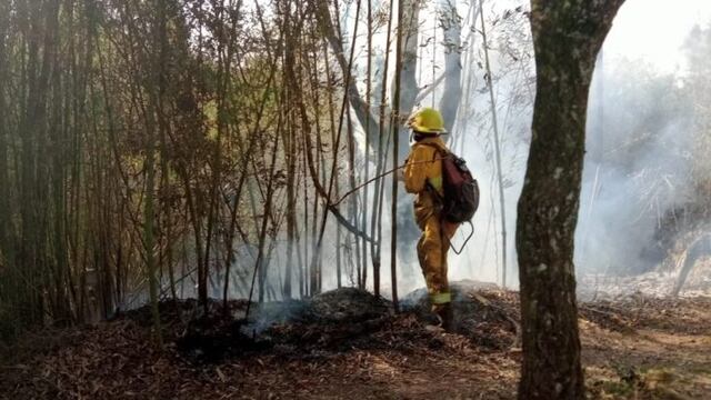 Incendio en la Casa Museo Horacio Quiroga.
