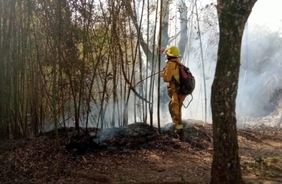 Incendio en la Casa Museo Horacio Quiroga