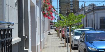 En Concepción del Uruguay ya se plantaron 860 árboles