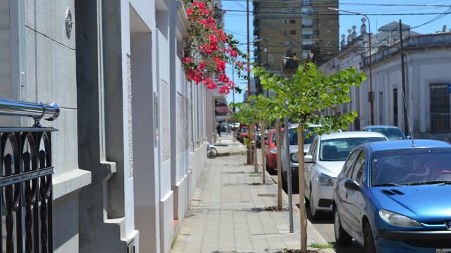 En Concepción del Uruguay ya se plantaron 860 árboles