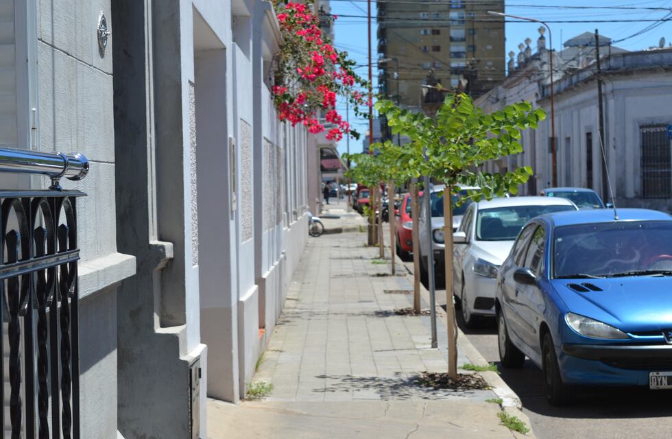 Concepción del Uruguay ya se plantaron 860 árboles autóctonos