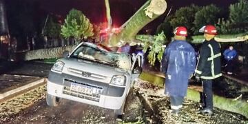 Graves consecuencias en Oberá tras el temporal que afectó a la región.