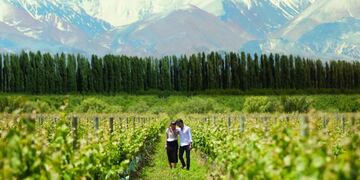 Previaje 3: cuáles son los paquetes más económicos para viajar por Argentina