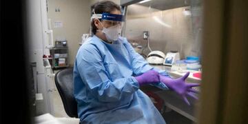 La cartera sanitaria indicó que son 593 los internados con coronavirus en unidades de terapia intensiva.