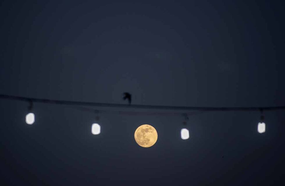 Desde Córdoba, la Luna se verá muy cerca de cuatro planetas: cuándo será este fenómeno