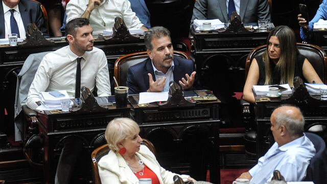 El PRO apoyará las privatizaciones. Foto Federico Lopez Claro