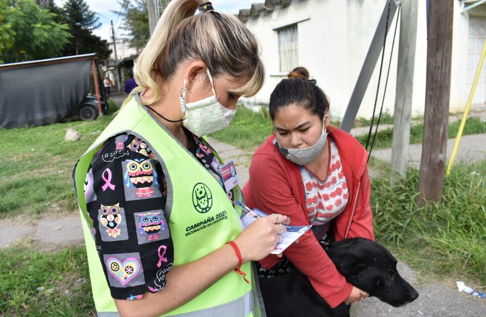 El Móvil Quirúrgico de barrio Bicentenario habilita turnos