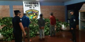 Robo de yerba mate: 4 detenidos en Santo Pipó y San Pedro. Policía de Misiones