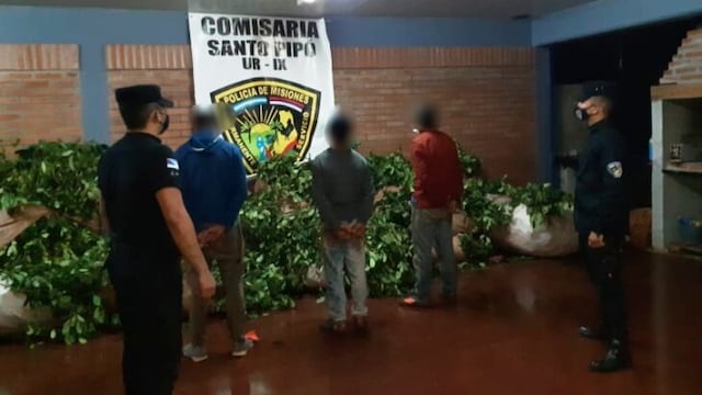 Robo de yerba mate: 4 detenidos en Santo Pipó y San Pedro. Policía de Misiones