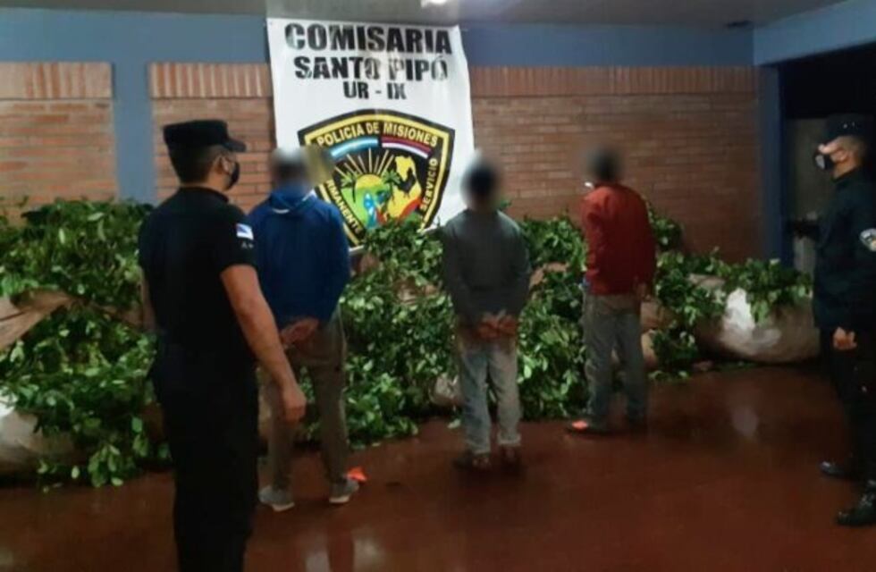 Robo de yerba mate: 4 detenidos en Santo Pipó y San Pedro