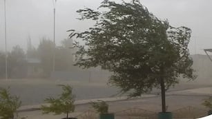 Alerta por fuertes vientos en Córdoba.