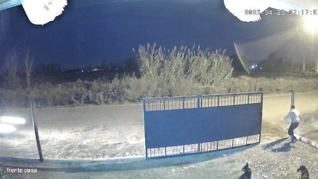 Video: impresionante choque de un conductor mendocino ebrio contra un portón