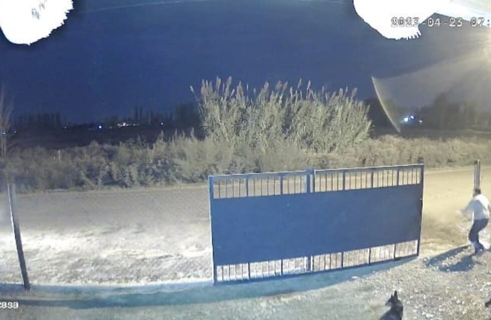 Video: impresionante choque de un conductor mendocino ebrio contra un portón