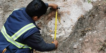 Descubren más pisadas de dinosaurios en municipio de Tarija (Bolivia)