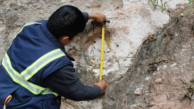 Descubren más pisadas de dinosaurios en municipio de Tarija (Bolivia)