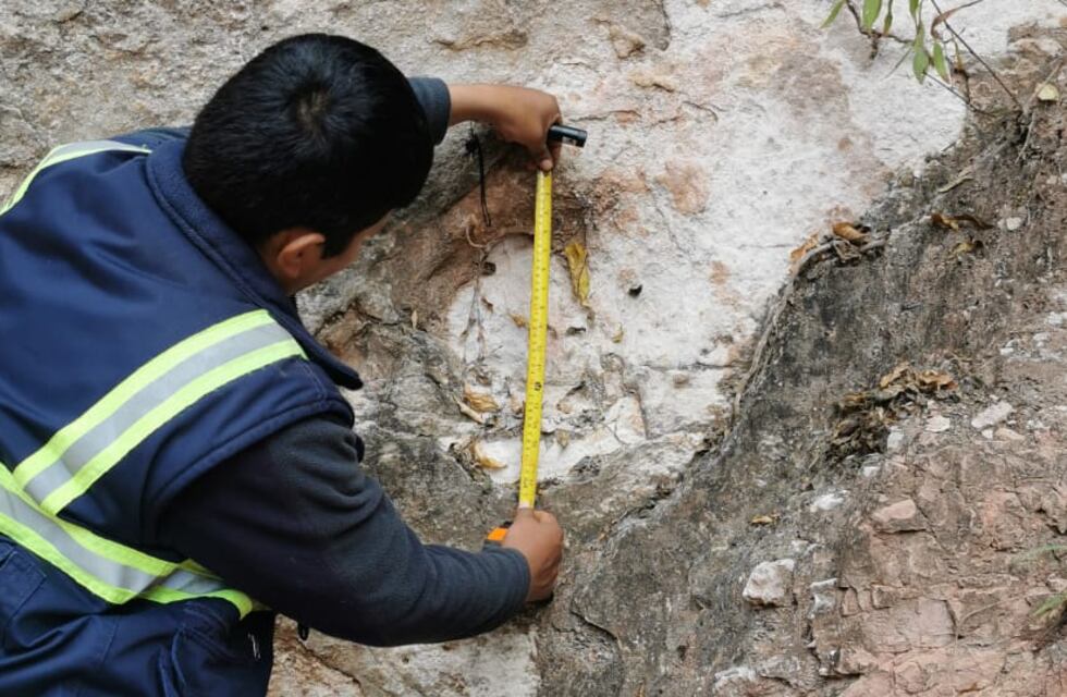 Los dinosaurios de Tarija buscan atraer a turistas jujeños