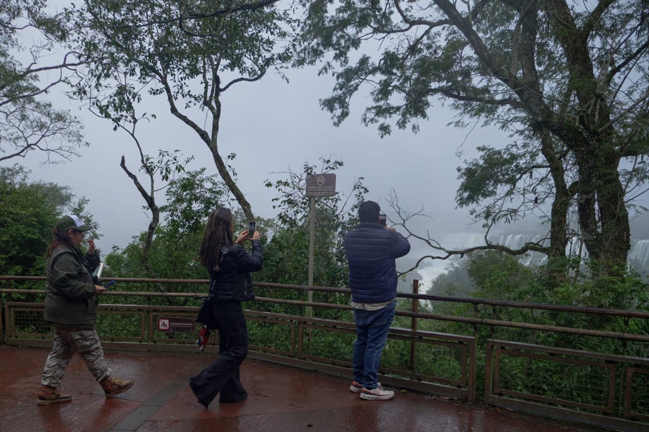 Exitoso primer encuentro internacional de observación de aves en Puerto Iguazú.
