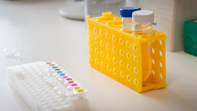 La Chlamydia trachomatis es una bacteria que puede causar una gran variedad de enfermedades oculares, respiratorias y especialmente genitales.