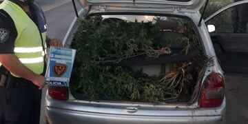 Detuvieron a tres hombres con 8 kilos de marihuana y uno era policía