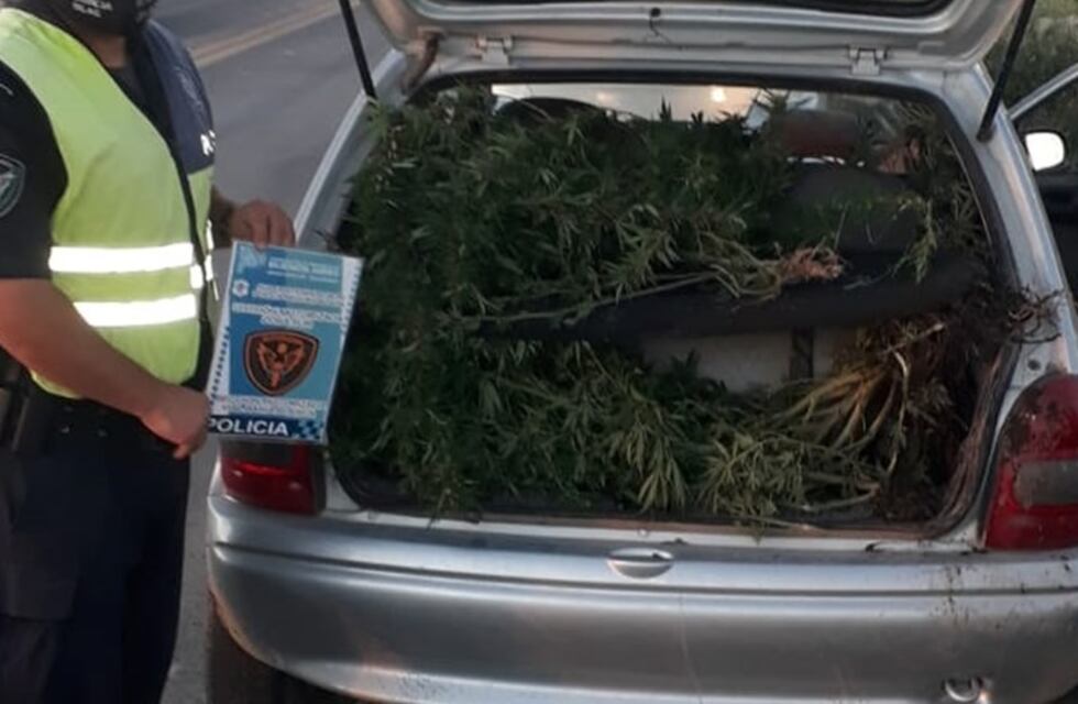 Detienen a tres hombres que llevaban 8 kilos de marihuana en el auto