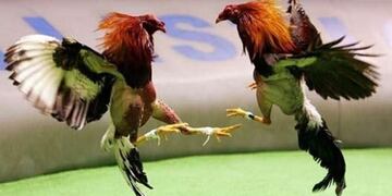 Violento usó a menor de escudo y cuchillo en mano amenazó a la policía en Posadas.