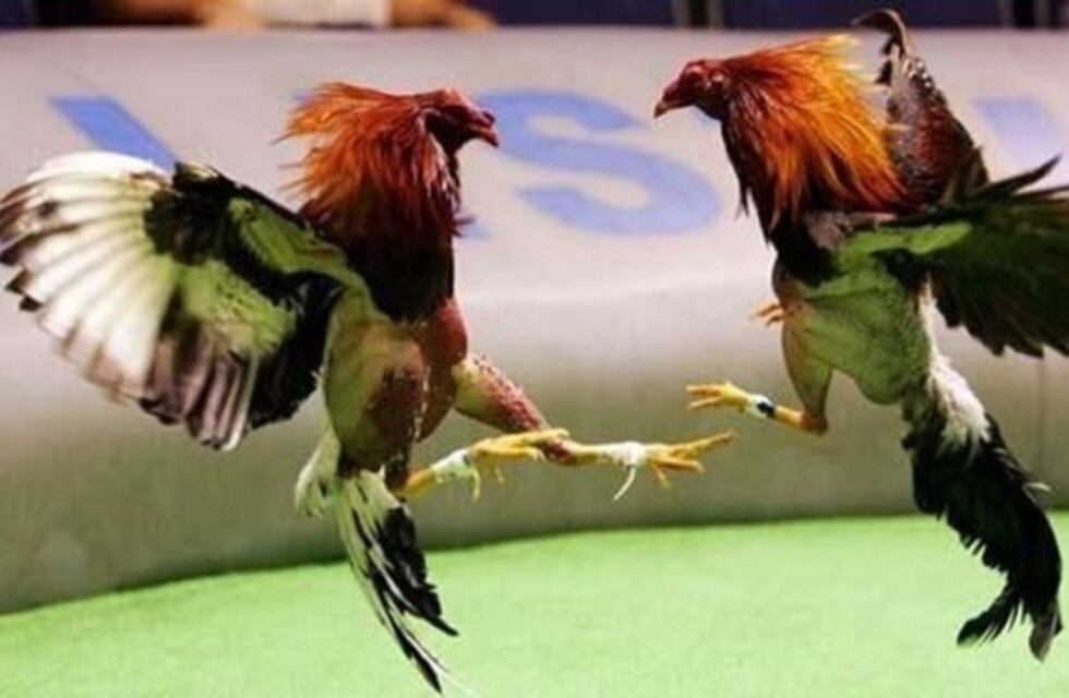 Violento usó a menor de escudo y cuchillo en mano amenazó a la policía en Posadas