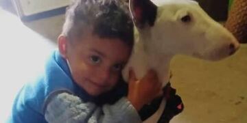 Se perdió "Vestia", y su dueño, un niño pequeño, ofrece su Playstation 2 como recompensa (Daniella Cdb)