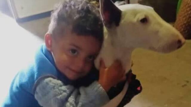 Se perdió "Vestia", y su dueño, un niño pequeño, ofrece su Playstation 2 como recompensa (Daniella Cdb)