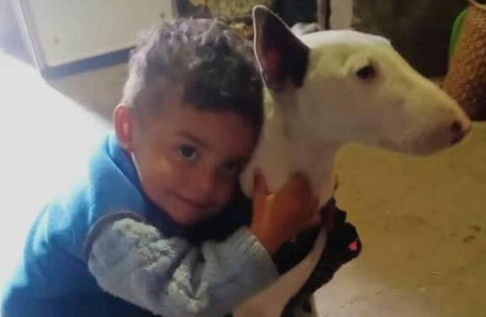 Un niño de Pérez perdió su perro y ofrece su Playstation 2 para recuperarlo
