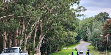 Así son las mejoras a realizar en Tandil luego de los reiterados choques en la zona