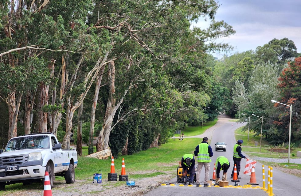 Accidentes de tránsito en Tandil: luego de la muerte de una pareja, realizarán mejoras para evitar choques