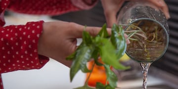 Dengue en Entre Ríos.