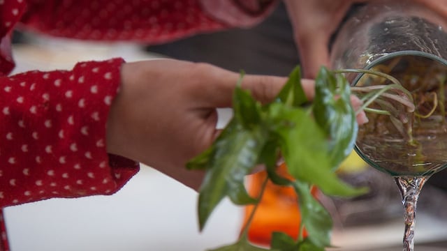 Dengue en Entre Ríos.