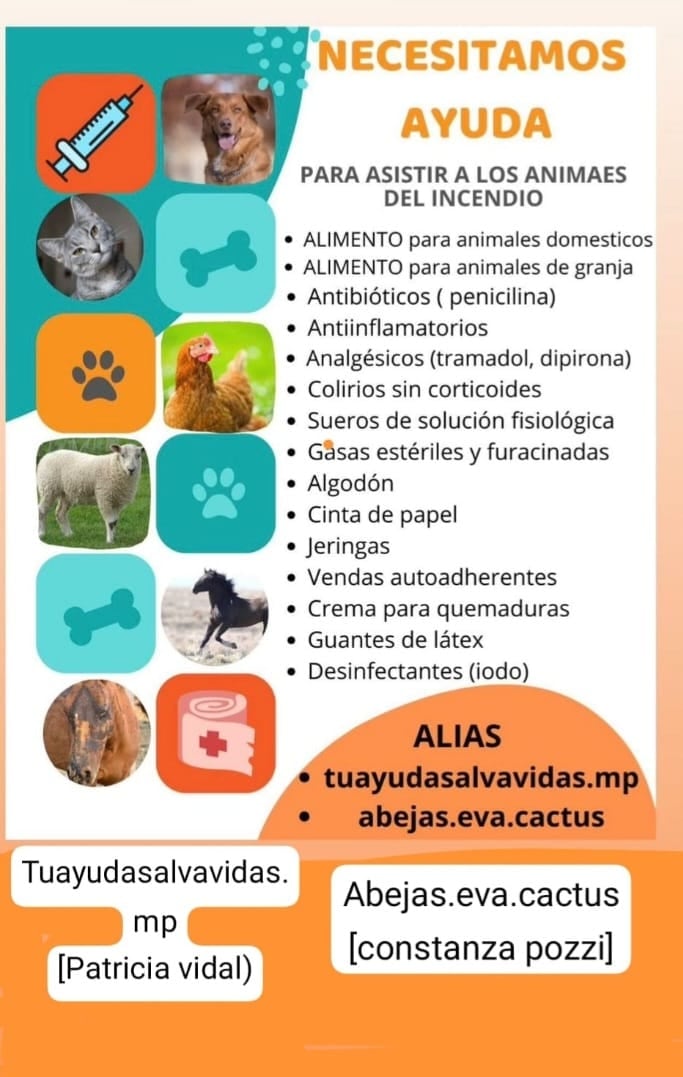 “Cada verano vivimos con miedo”: el testimonio de una joven voluntaria sobre los incendios intencionales en la Patagonia