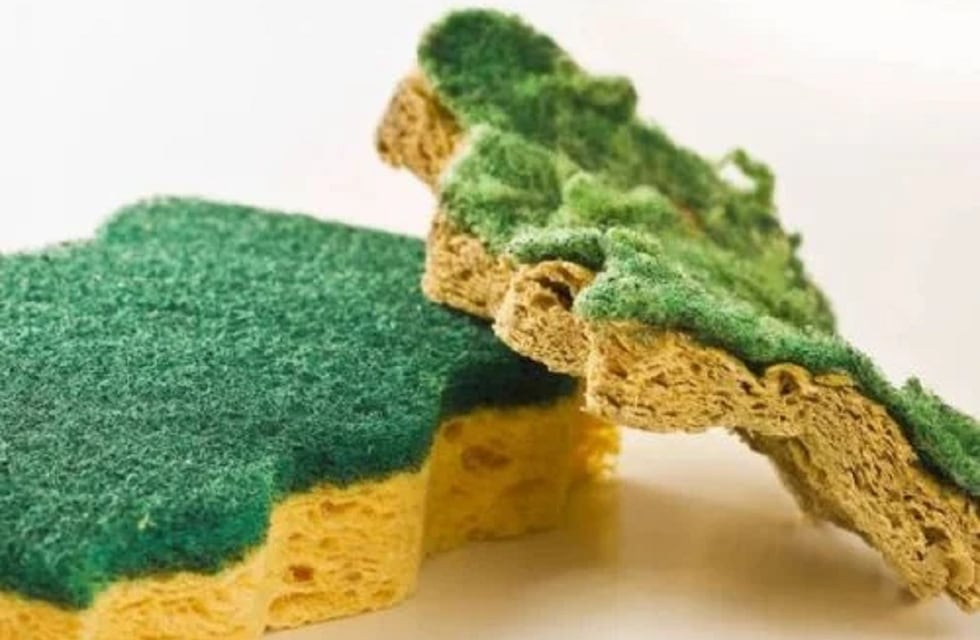 Cuál es el error más común que puede contaminar la cocina con las esponjas amarillas